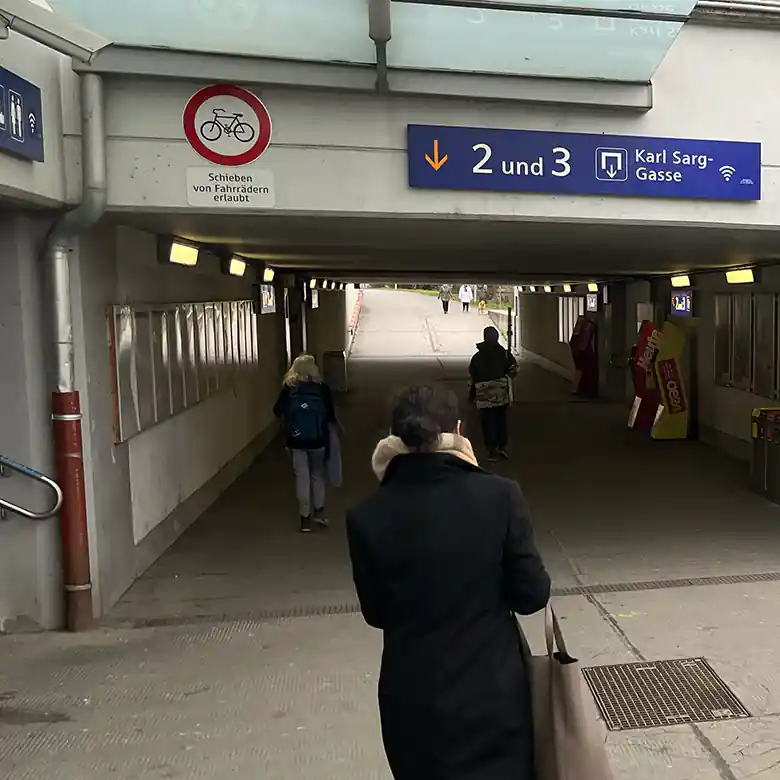4 / 9: Wien Liesing Bahnhof (Wien)